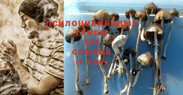 ГАЛЛЮЦИНОГЕННЫЕ ГРИБЫ Каменск-Шахтинский