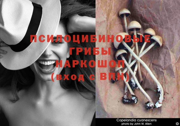 дистиллят марихуана Каменка