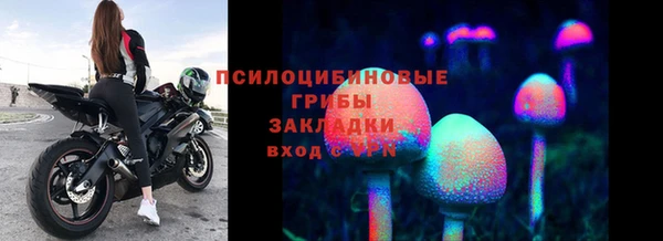 МДПВ Каменногорск