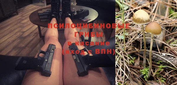 МДПВ Каменногорск
