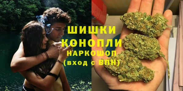 МДПВ Каменногорск