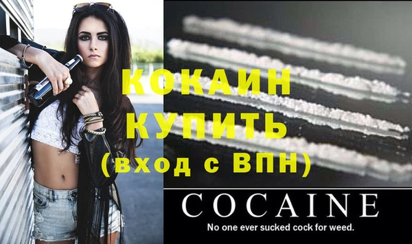 МДПВ Каменногорск