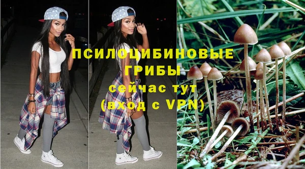 ГАЛЛЮЦИНОГЕННЫЕ ГРИБЫ Каменск-Шахтинский