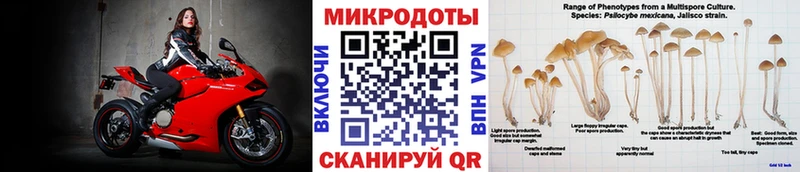 Псилоцибиновые грибы MAGIC MUSHROOMS  Купить закладки  Донецк 